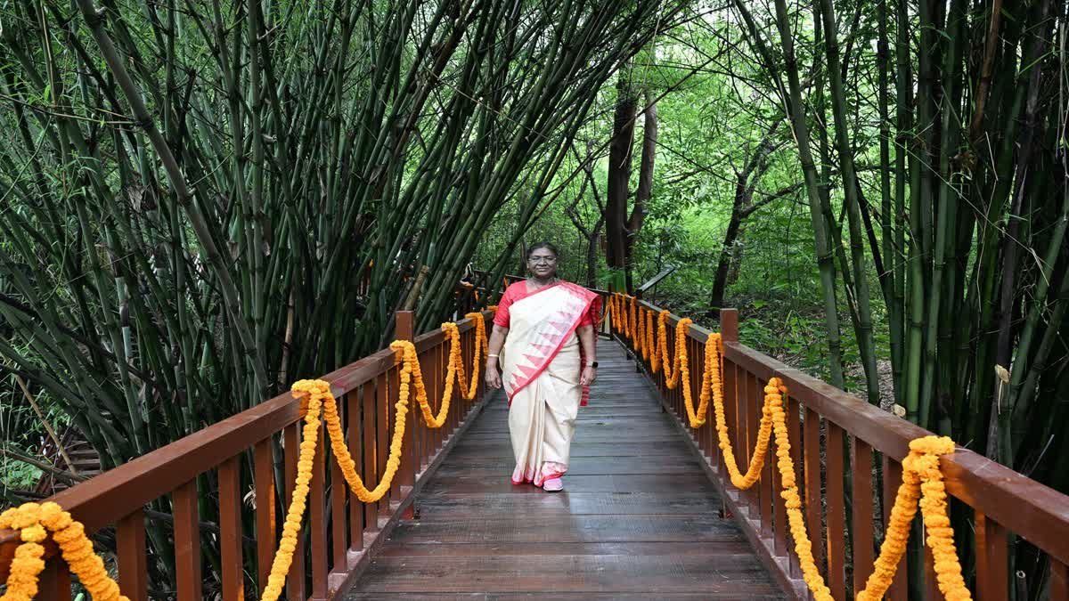 राष्ट्रपति मुर्मू ने किया अपने ड्रीम प्रोजेक्ट ‘राष्ट्रपति उद्यान’ का निरीक्षण, नवंबर तक तैयार होकर देगा दून को नई पहचान